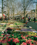 822449 Afbeelding van bakken vol voorjaarsplanten op de zaterdagse bloemen- en plantenmarkt op het Janskerkhof te Utrecht.